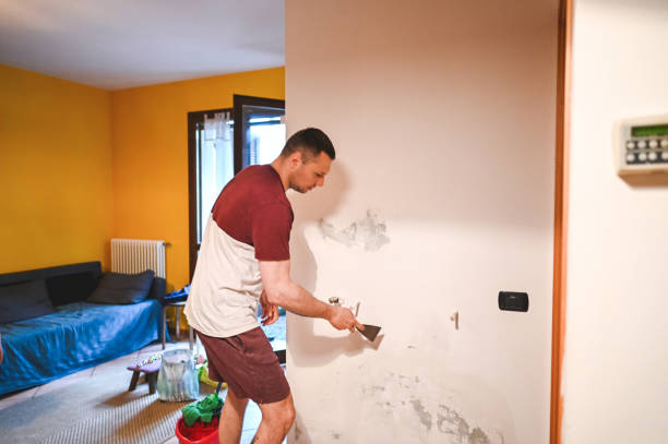 Best Crawl Space Mold Removal  in Munster, IN
